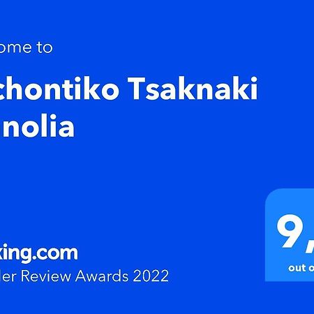 Отель Archontiko Tsaknaki Manolia Ano Lekhonia Экстерьер фото